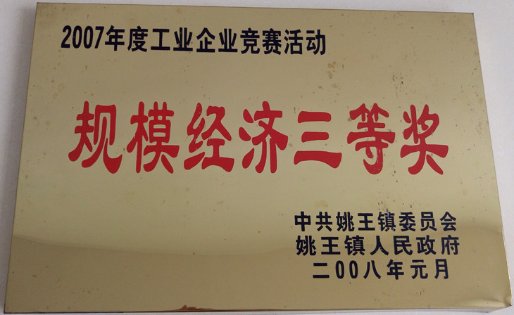 規(guī)模經(jīng)濟(jì)三等獎(jiǎng)