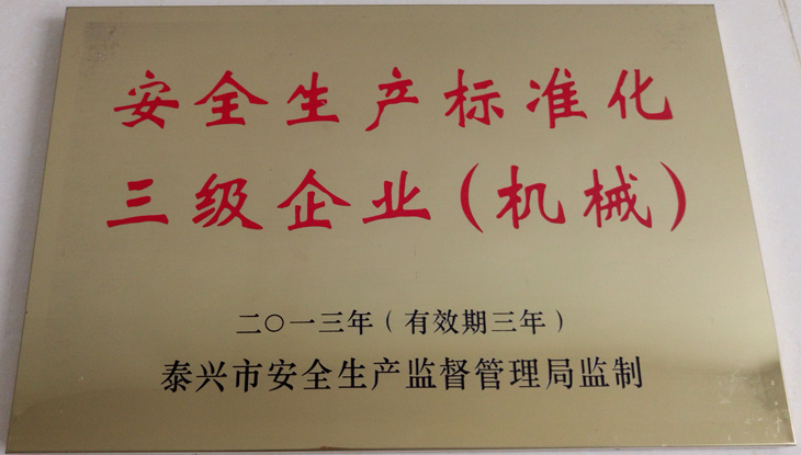 安全生產(chǎn)標(biāo)準(zhǔn)化三級(jí)企業(yè)